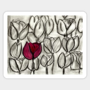 Red Tulip on Black and White Sticker